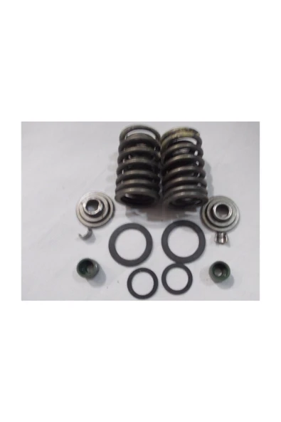 Güleroğlu Cg Subap Yayı Takımı / Seti - 125 / 125 / 200 Cc ürün görseli 1