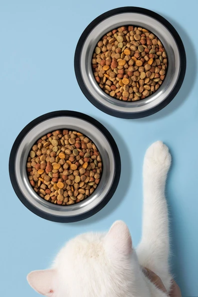 2 Adet Kedi Köpek Mama ve Su Kabı Çelik Kase 300 ml ürün görseli 1
