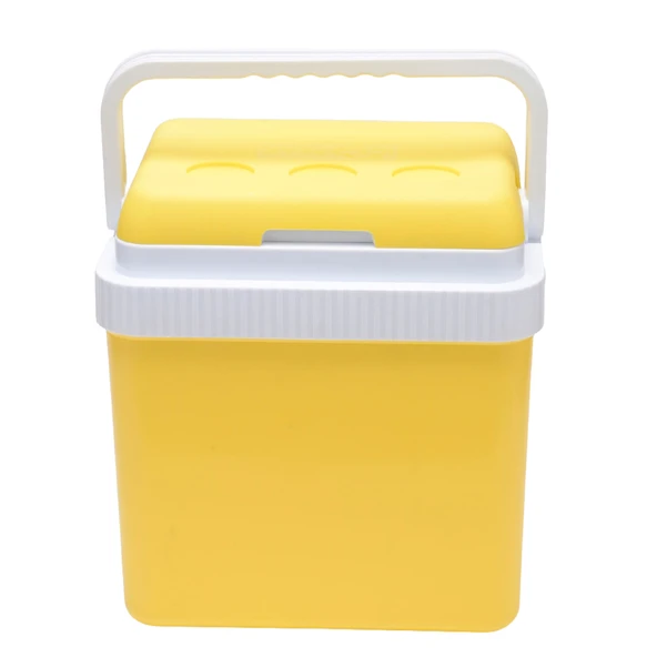 Icepeak SF26 Taşıma Çantası Buzluk 26 Litre-SARI ürün görseli 1