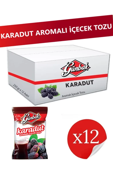 Günbak Karadut Aromalı Toz İçecek 250 gr x 12 Adet ürün görseli 1