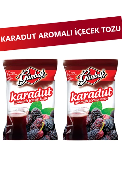 Günbak Karadut Aromalı Toz İçecek 250 gr x 2 Adet ürün görseli 1
