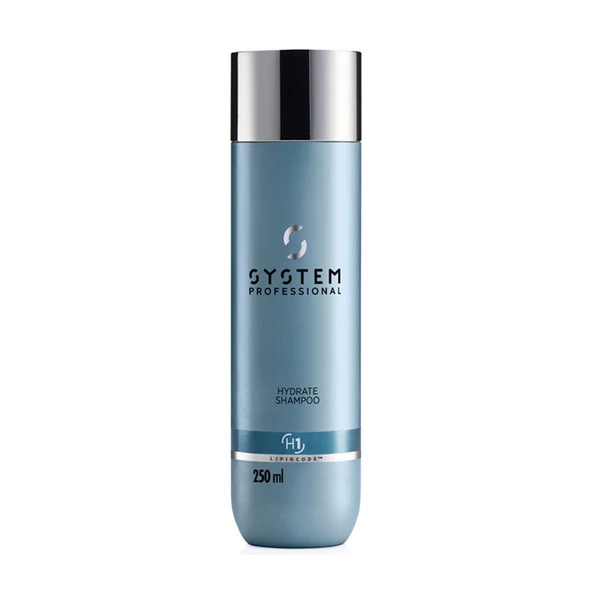 System Hydrate Kuru Saçlar Nemlendirici Şampuanı 250ml ürün görseli 1