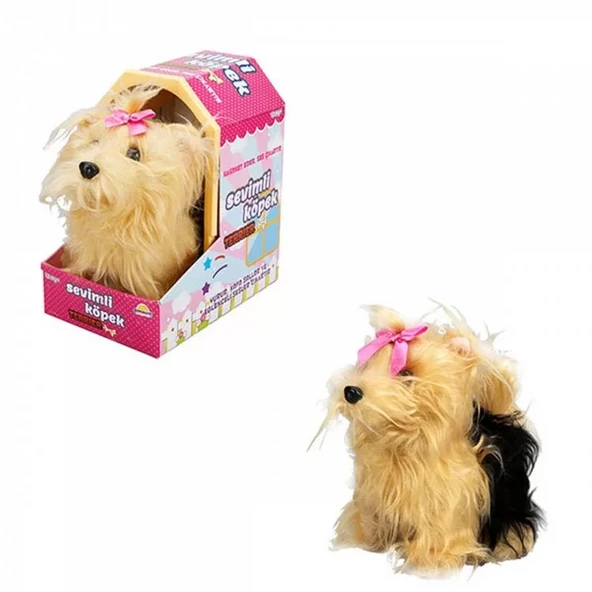 Sunman Sevimli Köpek Terrier - Resim 3