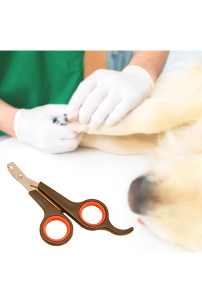 Küçük Çelik Uçlu Kedi Köpek Evcil Hayvan Tırnak Makası Pati Bakım Aleti Ergonomik Kaymaz Sap ürün görseli 1