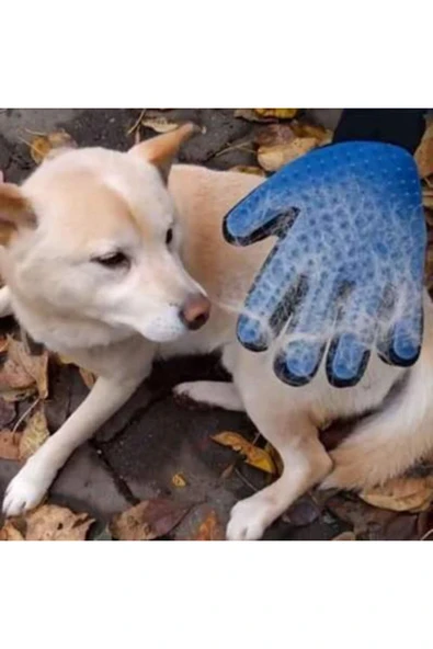 Kedi Ve Köpek I?çin Tüy Toplama Eldiveni ürün görseli 1