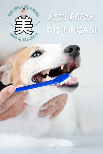Kedi Köpek Diş Fırçası ürün görseli 1