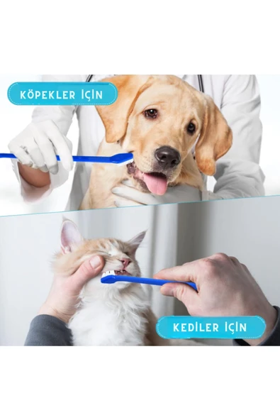Kedi Köpek Diş Fırçası - Resim 2