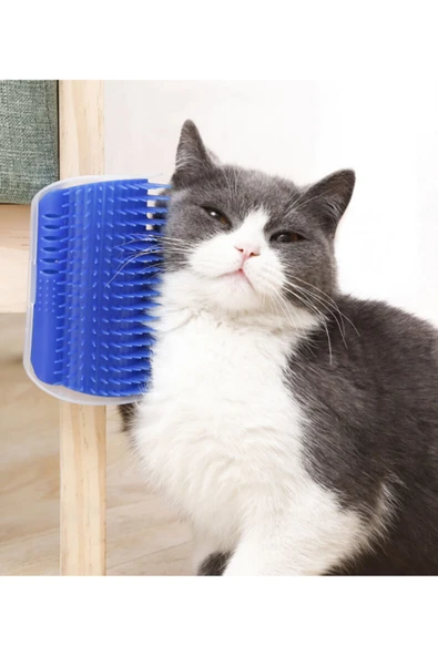 Kedi Tarağı & Rahatlatıcı ürün görseli 1