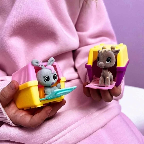 House Pets Evcil Hayvan Sürpriz Paket - Resim 4