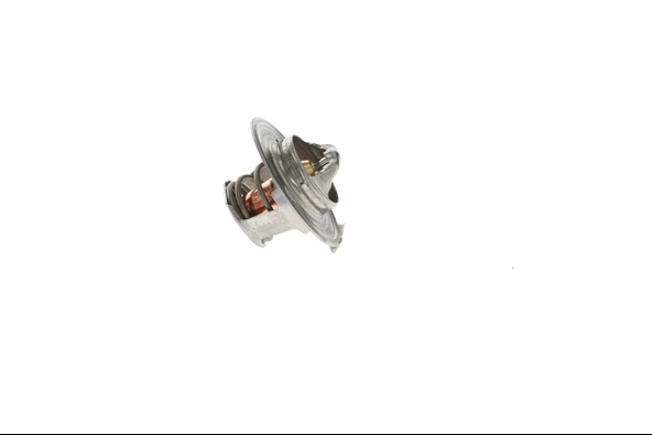 TERMOSTAT DZ100555 ürün görseli 1