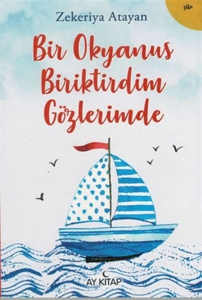 Bir Okyanus Biriktirdim Gözlerimde ürün görseli 1