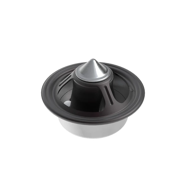Termostat DZ120917 ürün görseli 1