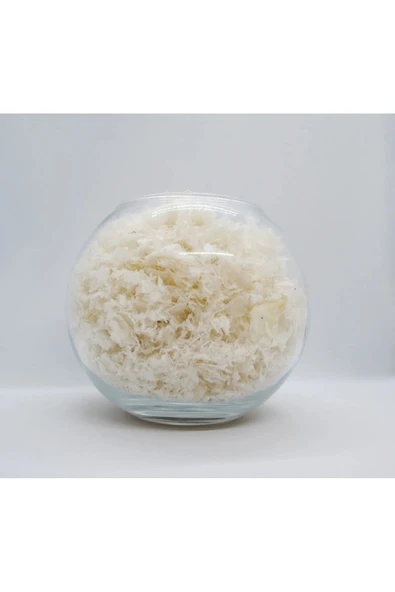 Kitosan (CHİTOSAN)  %90-95 Deaselitasyon Toz Form - 250 gr ürün görseli 1