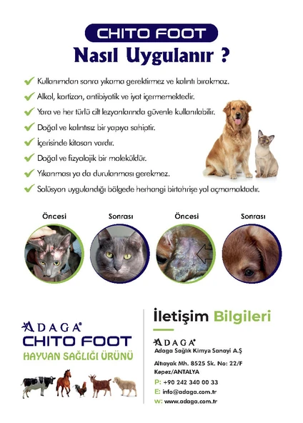 ADAGA Chito Foot  - 5 Litre - Resim 6