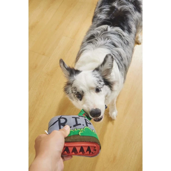 M-Pets Halloween Tomb Snack Attack Köpek Oyuncağı - Resim 5