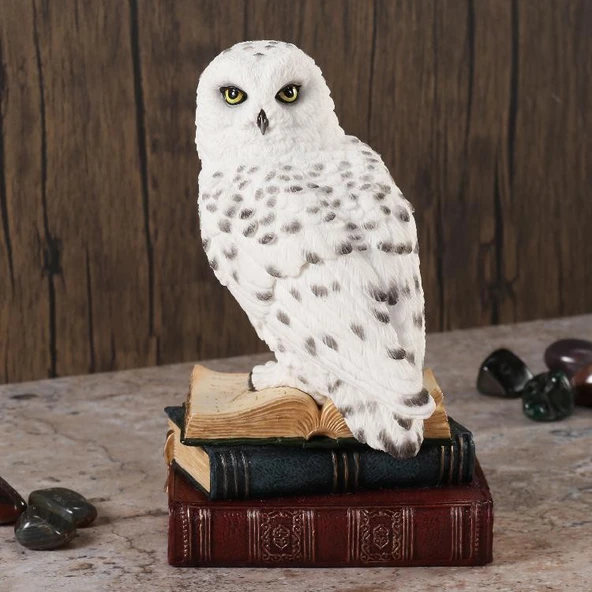 Wise Biblolar - Wise Hayvanlar Alemi Kitap Üstünde Kar Baykuşu Biblo Dekoratif Obje 11x11,5x17,5 CM ürün görseli 1