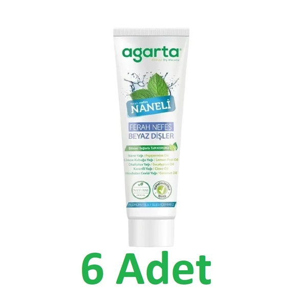 Agarta Diş Macunu Naneli 100ml x 6 adet ürün görseli 1