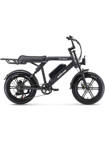APE RYDER COLOBUS PREMIUM 750W ELEKTRİKLİ BİSİKLET SİYAH ürün görseli 1