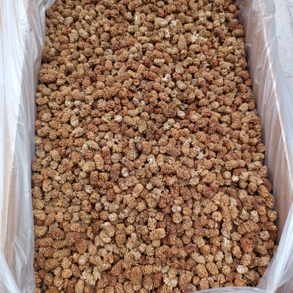 Toptan Dut Kurusu 1.Kalite 11 Kg - Resim 2