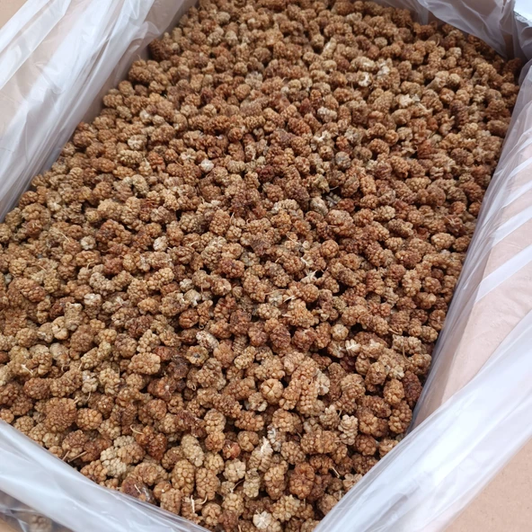 Toptan Dut Kurusu 1.Kalite 11 Kg - Resim 3