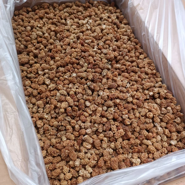 Toptan Dut Kurusu 1.Kalite 11 Kg - Resim 4
