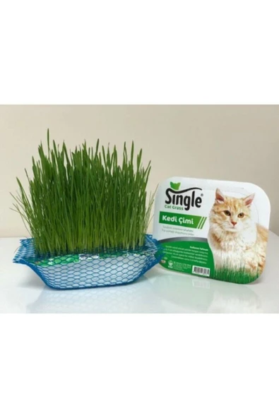 Bio PetActive Single Natural Kedi Çimi ürün görseli 1