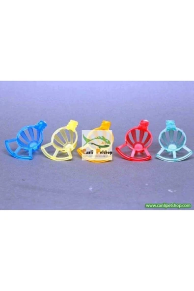 TROPİKAL Kuşlar Için 4 Cm Yumurtalık 1 Adet ürün görseli 1