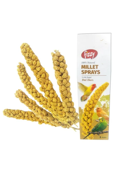 Fizzy Doğal Dal Darı ürün görseli 1