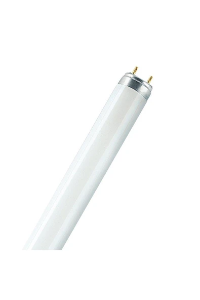 Sylvania Sylvanıa  14W/54-765 Daylıght 36Cm ürün görseli 1