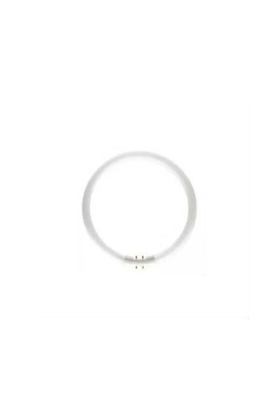 Philips Phılıps T5 22w/840 1ct/10 4000kelvin GÜNIŞIĞI Floresan Ampul ürün görseli 1