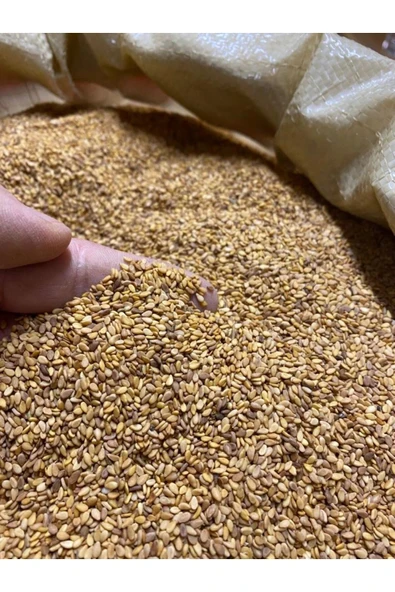 SUSAM (KÜNCÜ) 250 GR - Resim 3