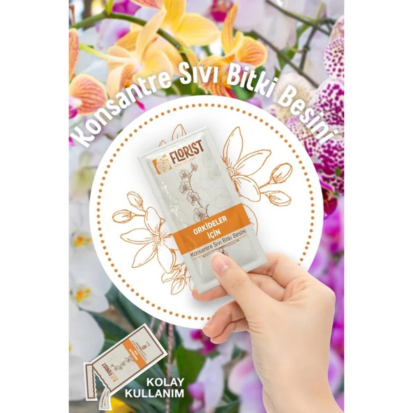 Florist Konsantre Orkide Besini - Resim 4