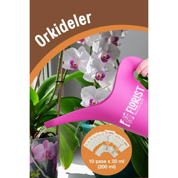 Florist Konsantre Orkide Besini - Resim 5