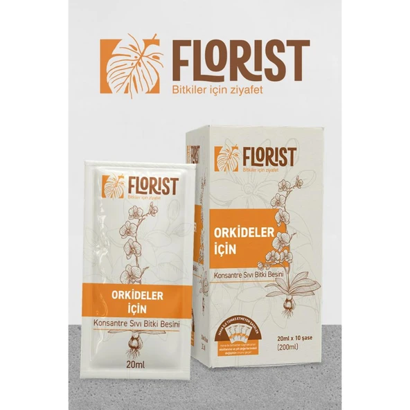 Florist Konsantre Orkide Besini - Resim 2