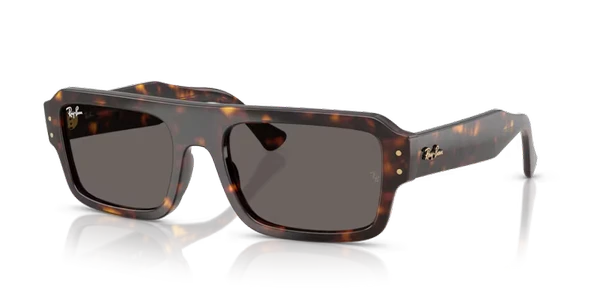 RB RB4454 667748 56-20-145 Unisex Güneş Gözlüğü ürün görseli 1