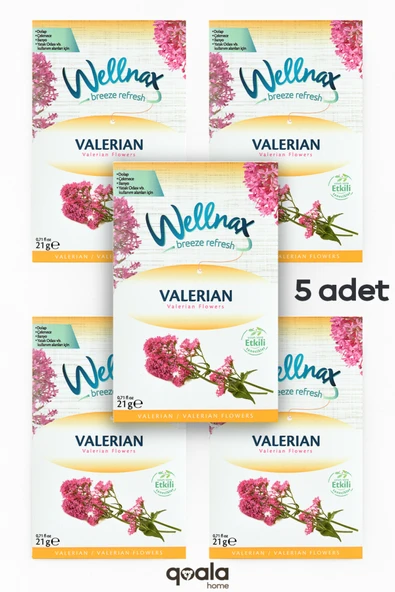Wellnax ( 5 ADET ) Valerian | Dolap Ve Çekmece Kokusu | Rutubet Önleyici Kese, Askılı Dolap Kokusu ürün görseli 1