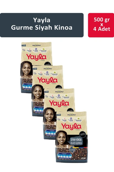 Yayla Gurme Siyah Kinoa 500 gr x 4 Adet ürün görseli 1