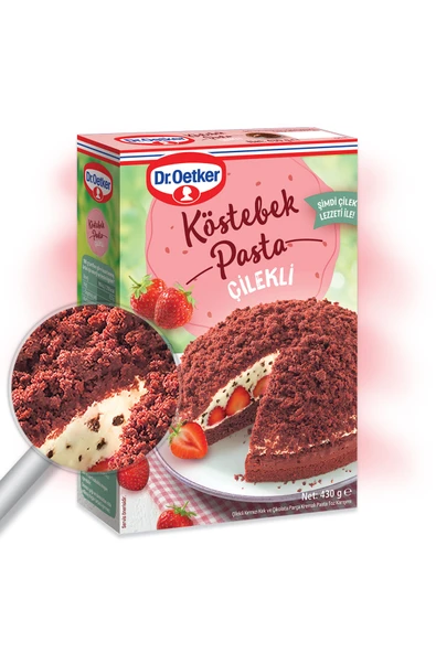 Dr. Oetker Çilekli Köstebek Pasta 430 Gr ürün görseli 1