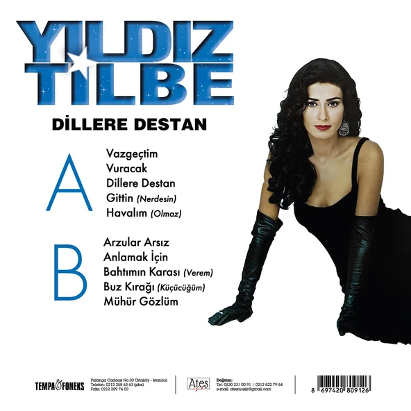 Yıldız Tilbe Dillere Destan - Plak - Resim 2