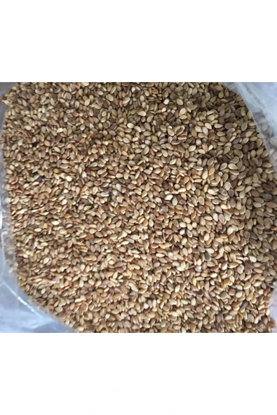 SUSAM (KÜNCÜ) 500 GR - Resim 2