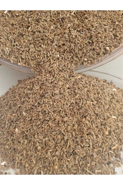 ANASON TOHUMU 250 GR ürün görseli 1
