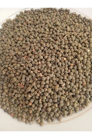 Bamya Tohumu Yerli 500 gr (ilaçsız- Yenilebilir) 1. Kalite elenmiş Yeni Mahsül ürün görseli 1