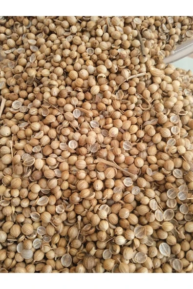 Kişniş Tohumu 100 gr ürün görseli 1