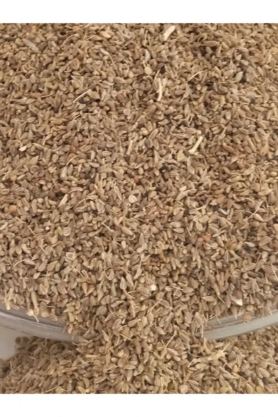Anason Tohumu 50 gr - Resim 2