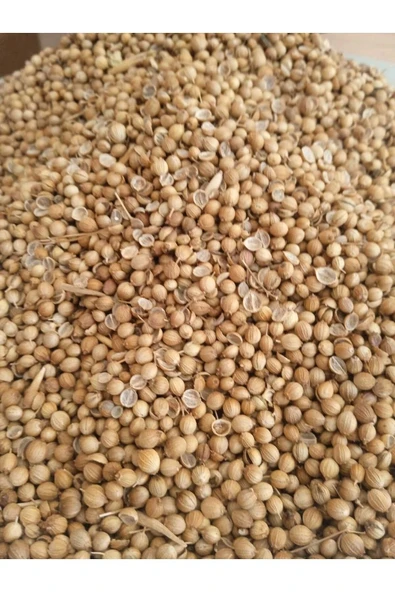 Kişniş Tohumu 100 gr - Resim 2