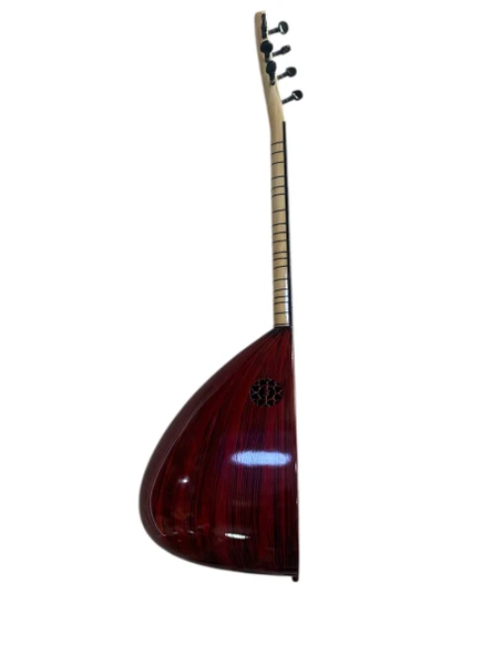 Öğrenci Üstü Kompozit Bağlama - Resim 2