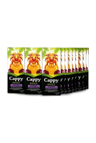 Cappy Karışık Meyve Nektarı Tetra 200 Ml (27 Adet) ürün görseli 1