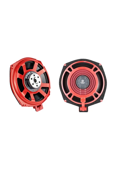 Reiss Audıo RS-B1 Size 8 Inch 20 Cm Bmw Sağ-Sol Koltuk Altı Subwoofer Takımı (Paketi Çiftlidir) ürün görseli 1
