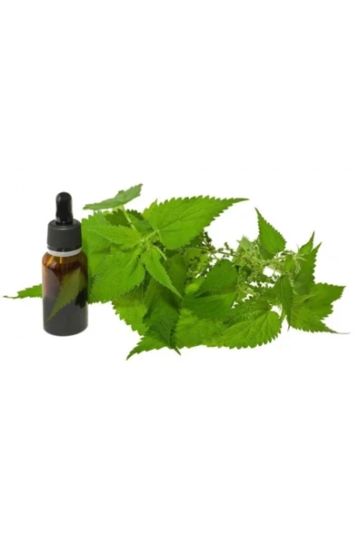 Isırgan Tohumu Yağı 20 ml ürün görseli 1