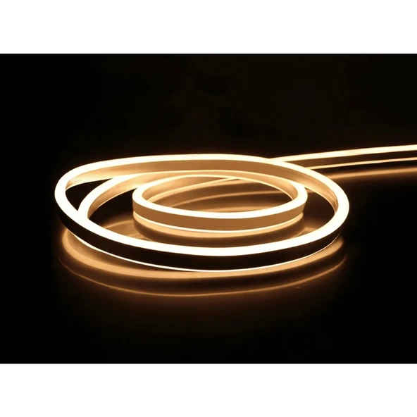 5 Metre Noas YL42 0122 Dış Mekan 12V Gün Işığı Neon Hortum LED ürün görseli 1